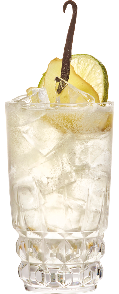 Ginger Tonic drink