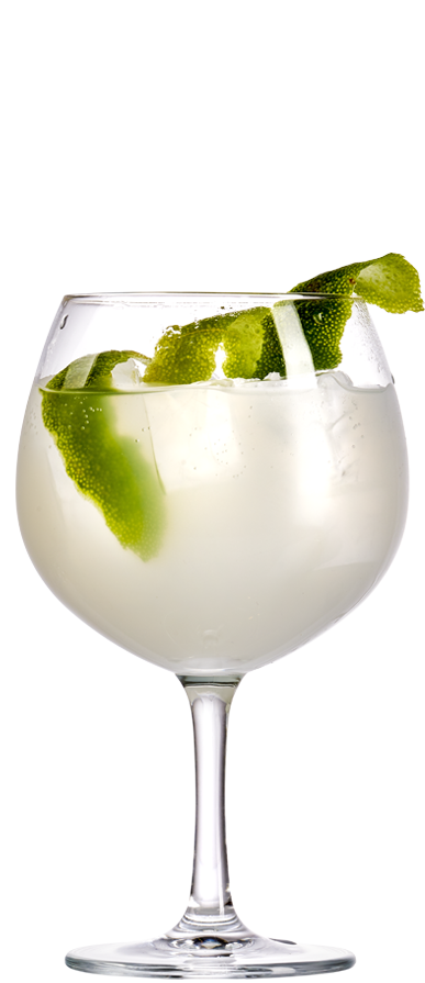 Hyldeblomst gin hass drink