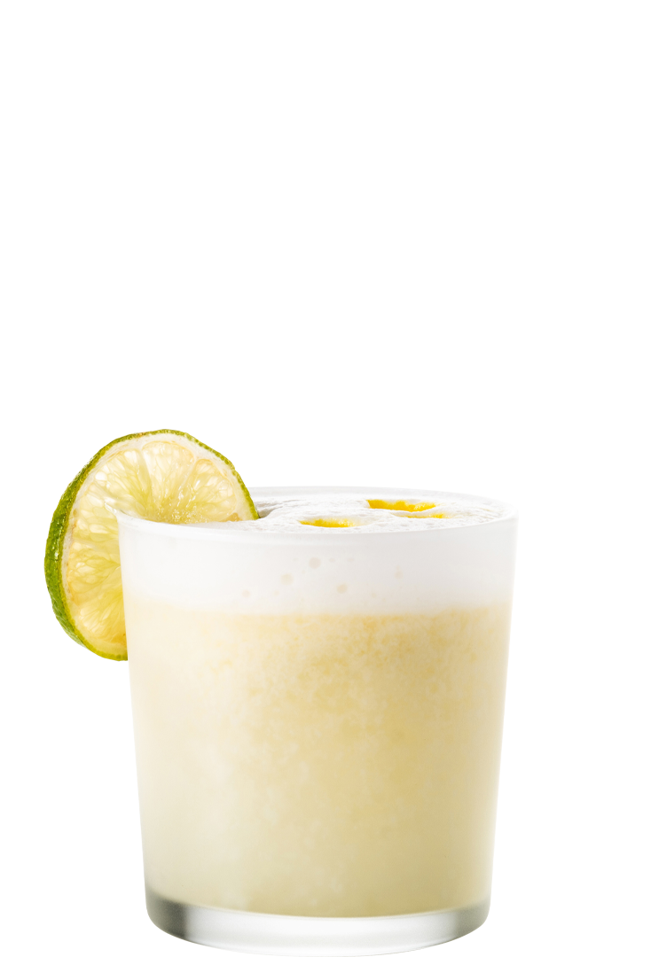 Gin Fizz drink