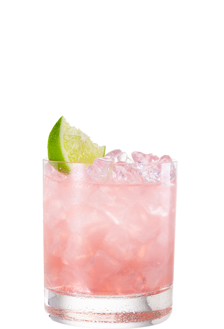 Rhubarb Gin Fizz drink